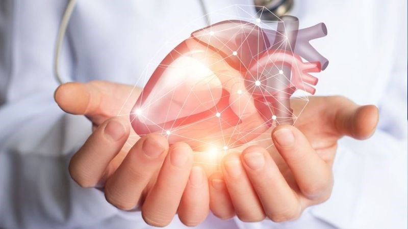 Lê làm giảm nguy cơ mắc các bệnh tim mạch. Lê làm giảm nguy cơ mắc các bệnh tim mạch