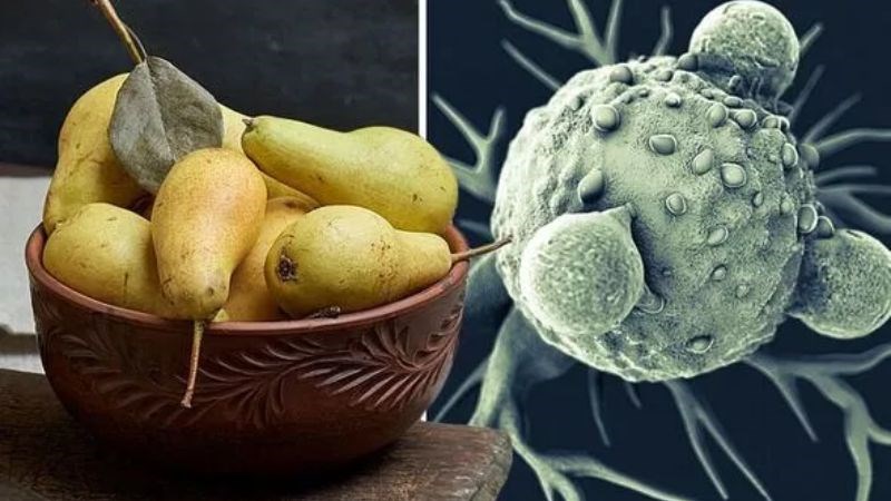 Lê có thể bảo vệ chống lại một số bệnh ung thư. Lê có thể bảo vệ chống lại một số bệnh ung thư