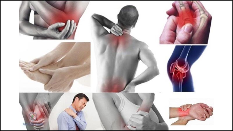 Quả na có thể giúp tăng cường sức khỏe xương khớp