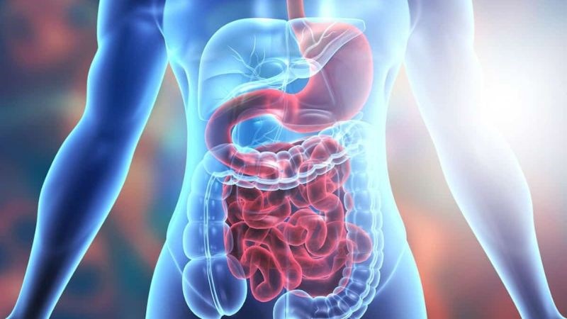 Người có hệ tiêu hóa hoạt động kém thì không nên ăn ớt chuông