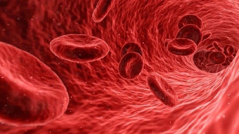 Ớt chuông chứa một lượng sắt đáng kể hỗ trợ quá trình tạo huyết sắc tố