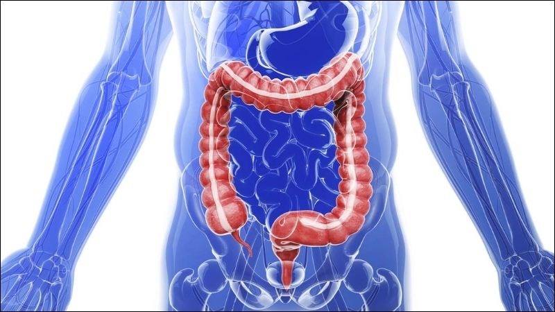 Sữa chua hỗ trợ hoạt động tiêu hóa, hạn chế các vấn đề rối loạn tiêu hóa