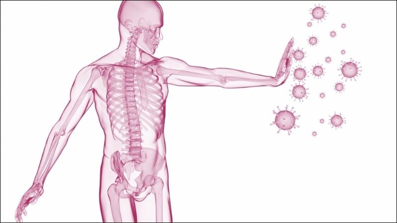 Nguồn lợi khuẩn trong sữa chua sẽ giúp tăng cường sức khỏe hệ miễn dịch