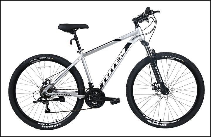 Xe đạp địa hình MTB Totem W760 29 inch Size M