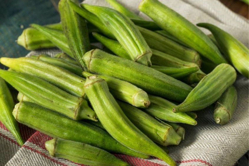 Bà bầu ăn đậu bắp được không? Ăn đậu bắp mẹ cần lưu ý gì? Bà bầu ăn đậu bắp được không? Ăn đậu bắp mẹ cần lưu ý gì?