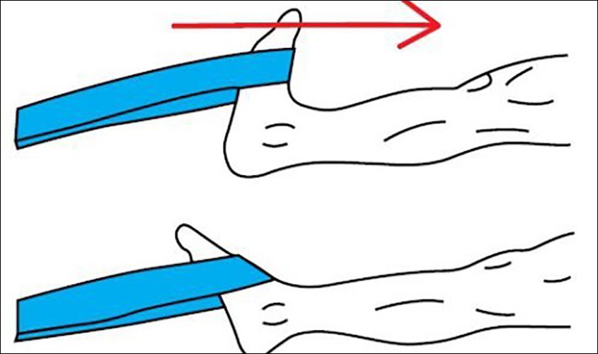 Bài tập rèn luyện cổ chân khỏe mạnh hơn 