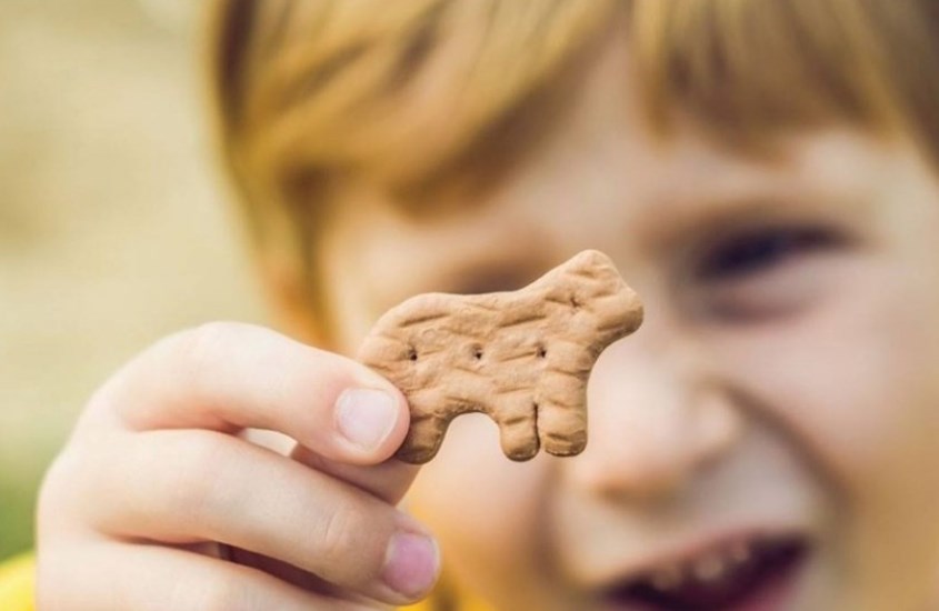 Bánh Leibniz Zoo dành cho bé từ 3 tuổi trở lên