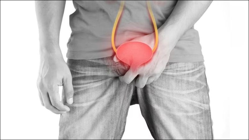 Bao quy đầu dài có nguy cơ cao viêm nhiễm ngược dòng vào bàng quang Bao quy đầu dài có nguy cơ cao gây viêm nhiễm ngược dòng vào bàng quang