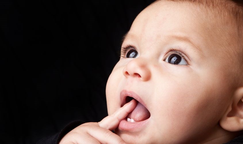 Bé lười uống sữa do đang mọc răng