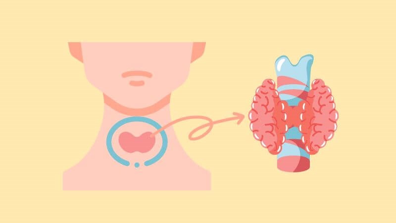 Suy giáp là tình trạng thiếu hụt lượng hormone tuyến giáp cần thiết cho cơ thể