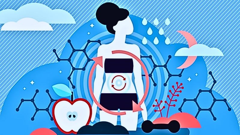 Nước dừa hỗ trợ quá trình tiêu hóa, tăng cường hấp thu và trao đổi chất