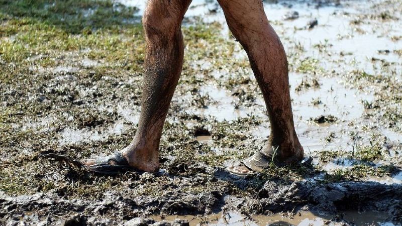 Bệnh Whitmore lây truyền qua vết thương hở trên da, qua đường hô hấp và đường tiêu hóa