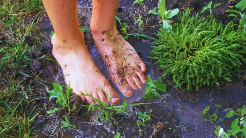 Số người mắc bệnh Whitmore thường tăng đột biến vào mùa mưa (tháng 9 - 11)