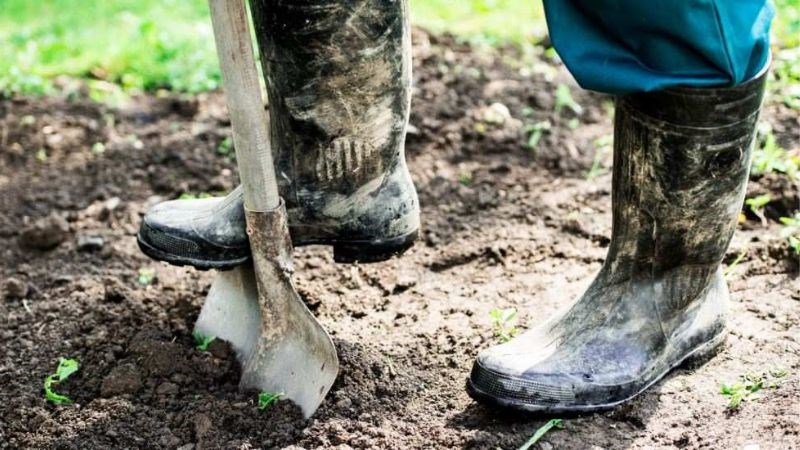 Bạn nên sử dụng đồ bảo hộ lao động khi phải tiếp xúc với bùn đất và nước bẩn