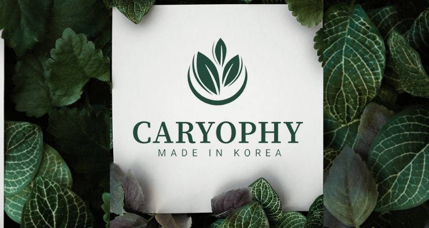 Caryophy là một thương hiệu mỹ phẩm hàng đầu của Hàn Quốc