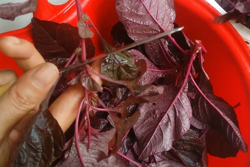 Cách sơ chế rau củ cho bé ăn dặm an toàn