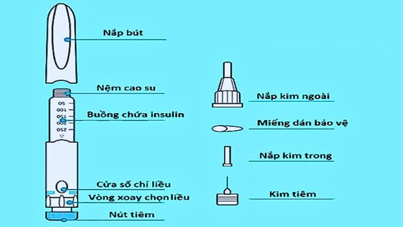 Phần kim tiêm được bán rời với bút tiêm và cần thay thế trong mỗi lần tiêm