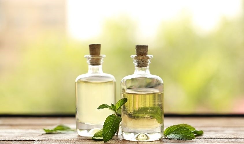 Tinh dầu bạc hà