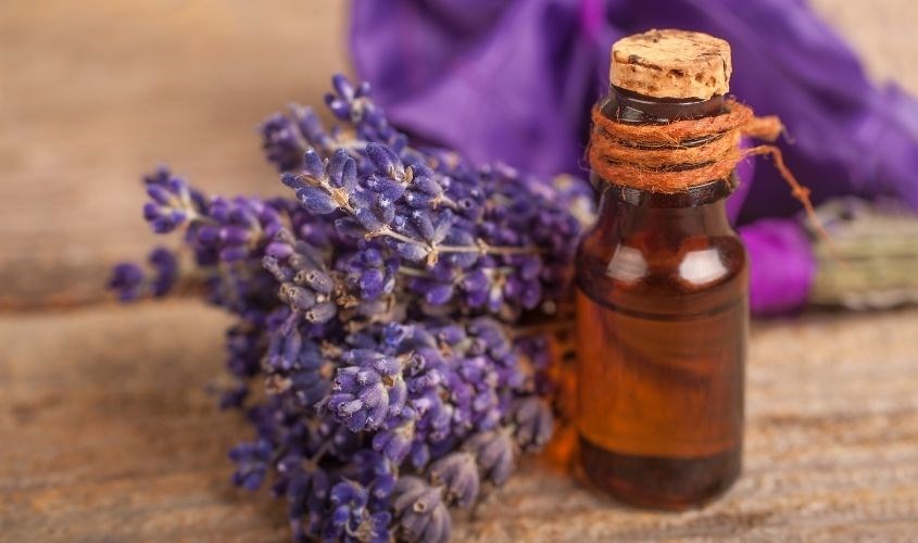 Tinh dầu hoa oải hương