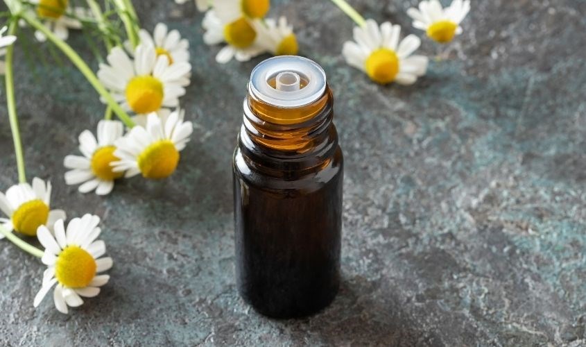 Tinh dầu hoa cúc