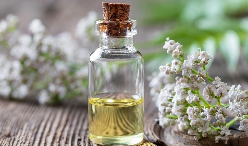 Tinh dầu nữ lang