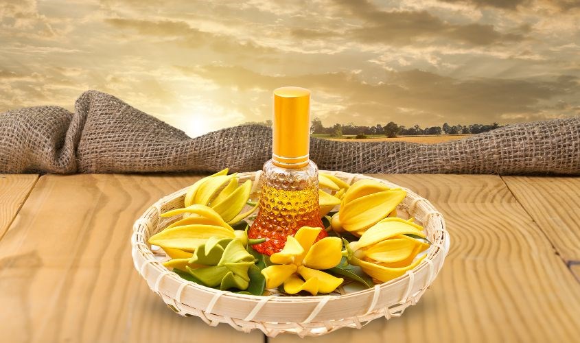 Tinh dầu hoa ngọc lan tây Ylang Ylang