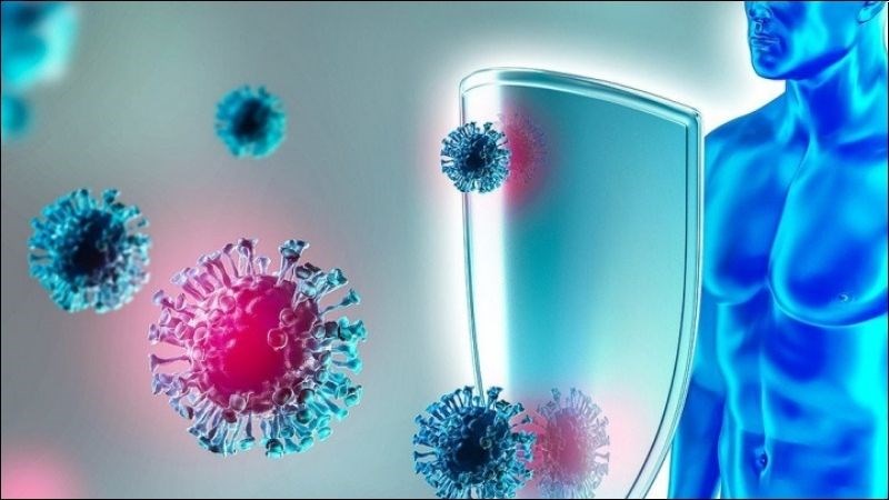 Vitamin D có khả năng điều chỉnh chức năng miễn dịch Vitamin D có khả năng điều chỉnh chức năng miễn dịch