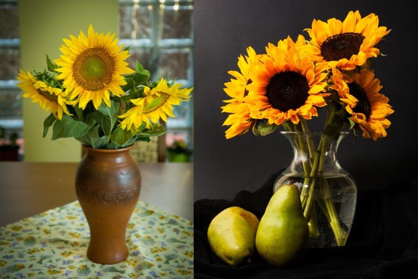 Cách cắm hoa ngày Tết - hoa hướng dương