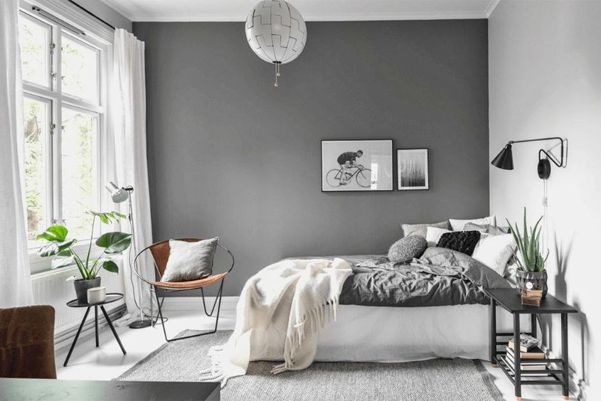 Cách khử mùi ẩm mốc trong phòng bằng cây xanh