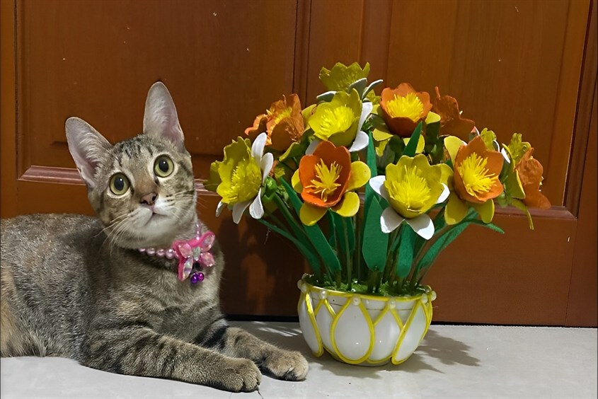 Cách làm đồ chơi từ khay đựng trứng đẹp