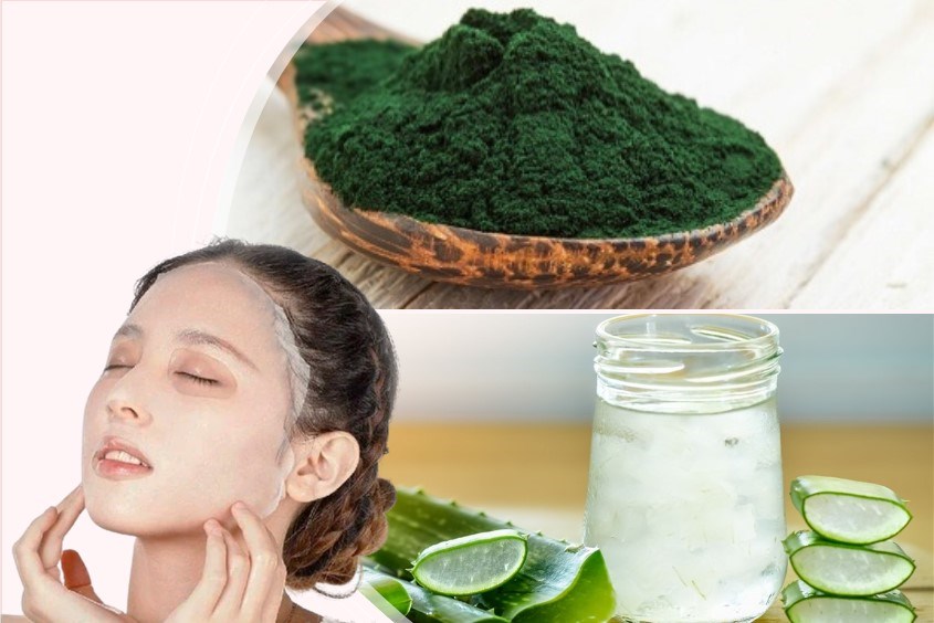 Gợi ý cách làm mặt nạ tảo biển kết hợp với nha đam giúp kích thích sản sinh collagen cho da mịn màng