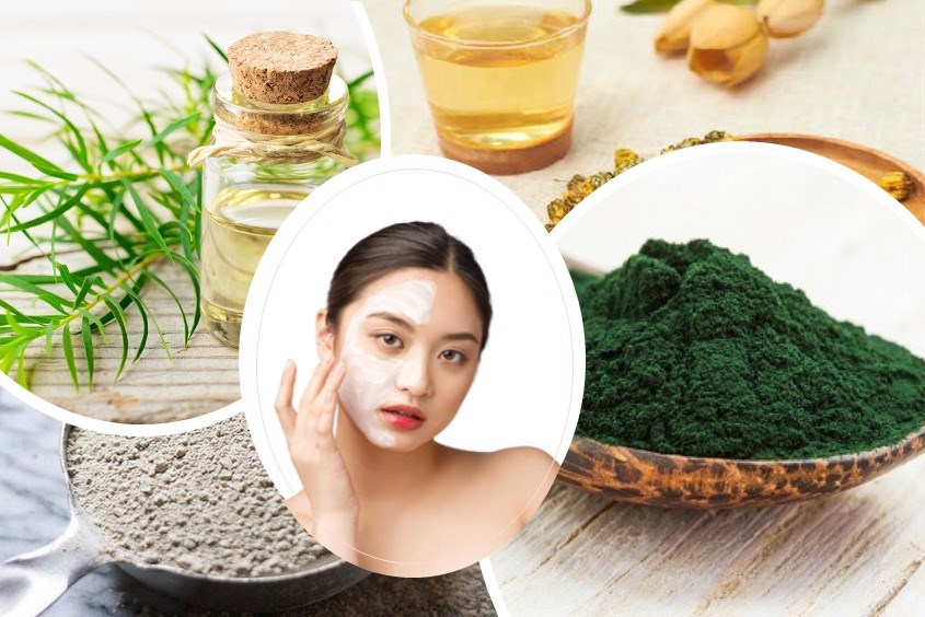 Cách làm mặt nạ tảo biển với nước hoa cúc giúp làm ẩm da mặt cực tốt