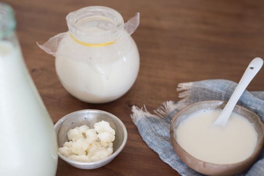 Làm sữa chua từ nấm sữa kefir Ủ là bước tiếp theo trong cách làm sữa chua từ nấm kefir
