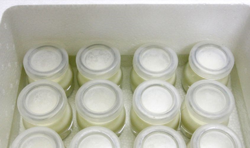 Ủ sữa chua bằng thùng xốp (thùng đá)