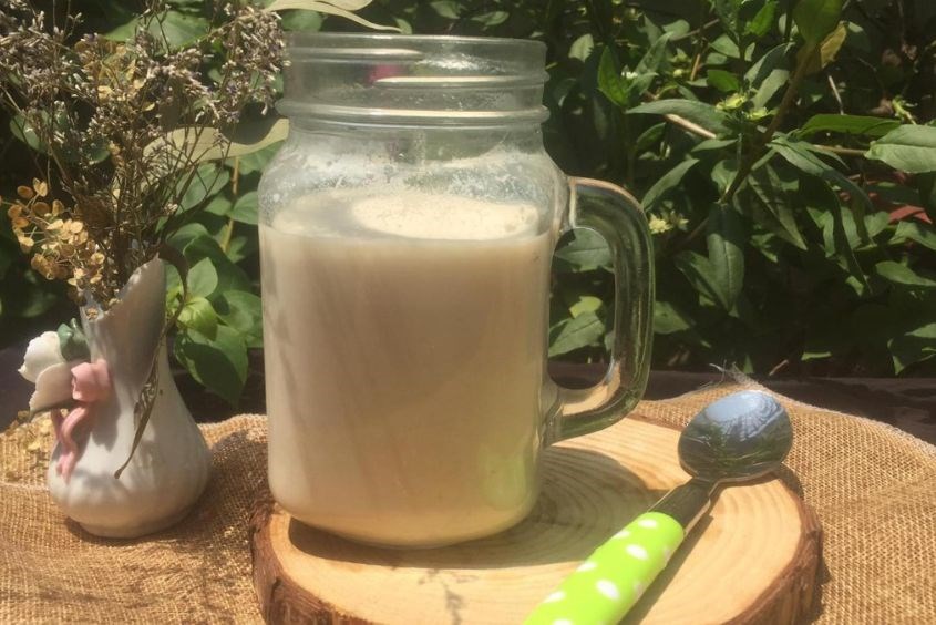 Cách làm sữa hạt mít bổ dưỡng cho bữa phụ của con