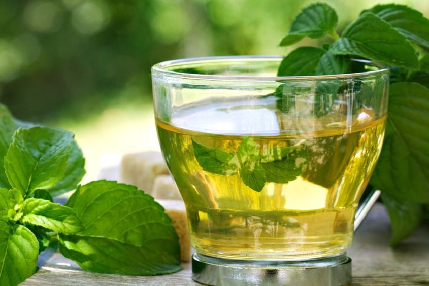 Cách pha trà bạc hà đơn giản tại nhà