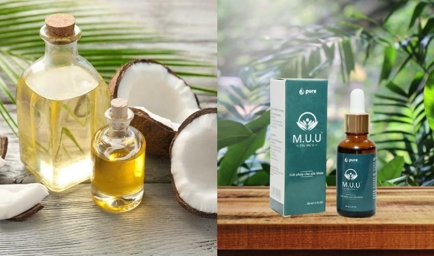 Dầu mù u và dầu dừa trị nám