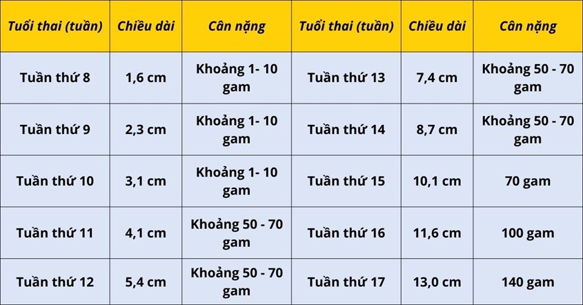 Mẹo và lời khuyên cho một thai kỳ khỏe mạnh