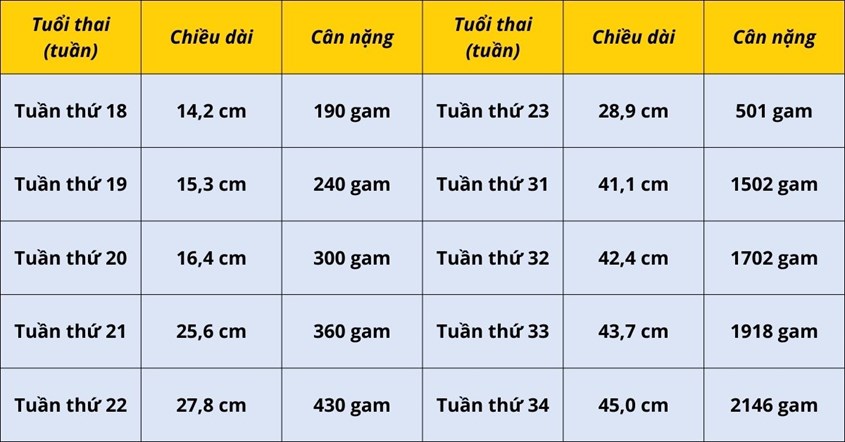 Thực phẩm hỗ trợ tăng cân nặng cho thai nhi