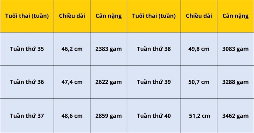 Bảng cân nặng thai nhi theo tuần tiêu chuẩn WHO 2022