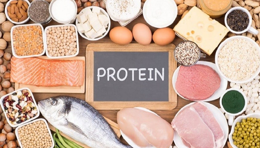 Cung cấp đủ lượng protein cần thiết