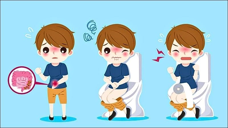 Hương nhu có khả năng ức chế nhu động ruột, giảm tình trạng tiêu chảy