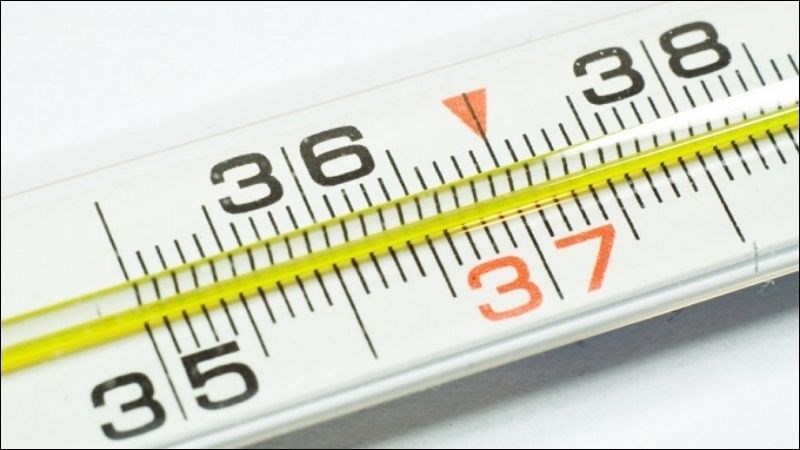 Cây hương nhu có thể giúp hạ thân nhiệt về mức bình thường