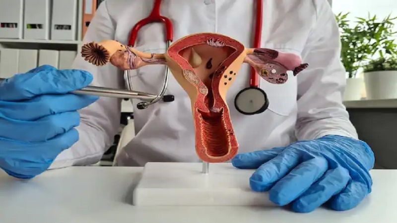 Hương nhu cung cấp các chất tốt cho sức khỏe sinh sản của cả nam và nữ