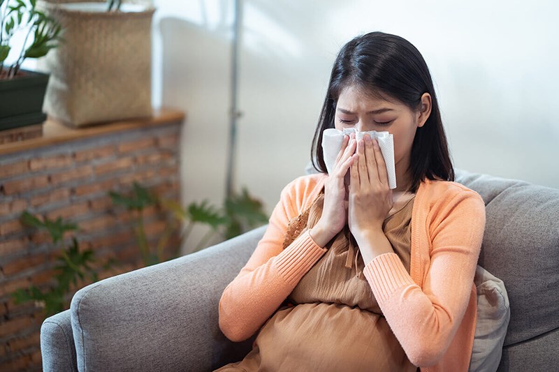 Hương nhu trị cảm, làm ra mồ hôi, hạ sốt