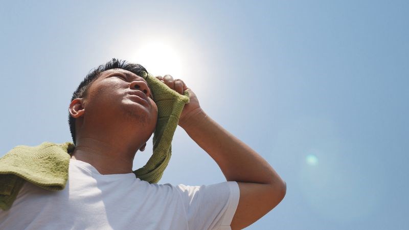 Bài thuốc chứa hương nhu có thể phòng và chữa cảm nắng, say nắng