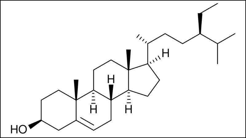 Beta Sitosterol là một trong những thành phần chính có trong kê huyết đằng