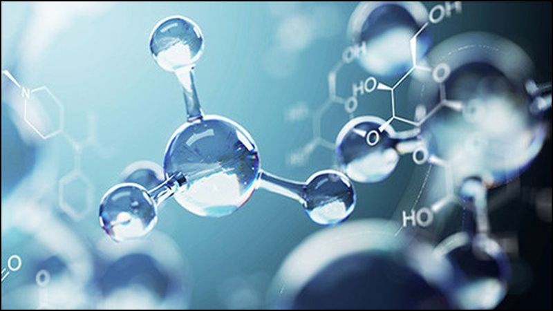 Rẻ quạt có khả năng chống oxy hóa