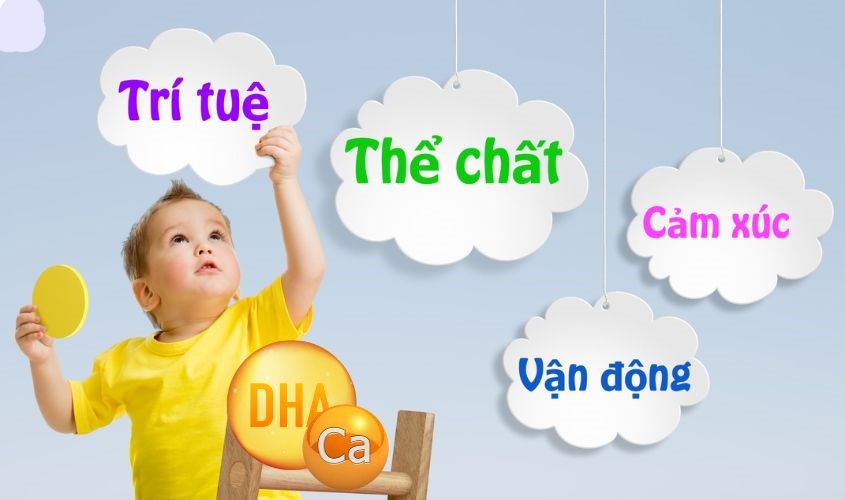 Bổ sung đầy đủ canxi và DHA giúp bé phát triển toàn diện