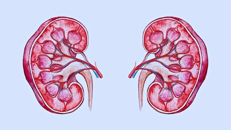Chôm chôm cung cấp nhiều kali, tăng tái hấp thu canxi, hạn chế lắng đọng canxi tại thận